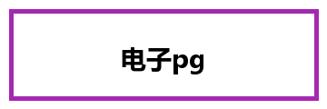 电子pg