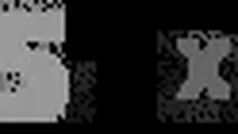 荷兰队主教练德波尔遭官方解雇